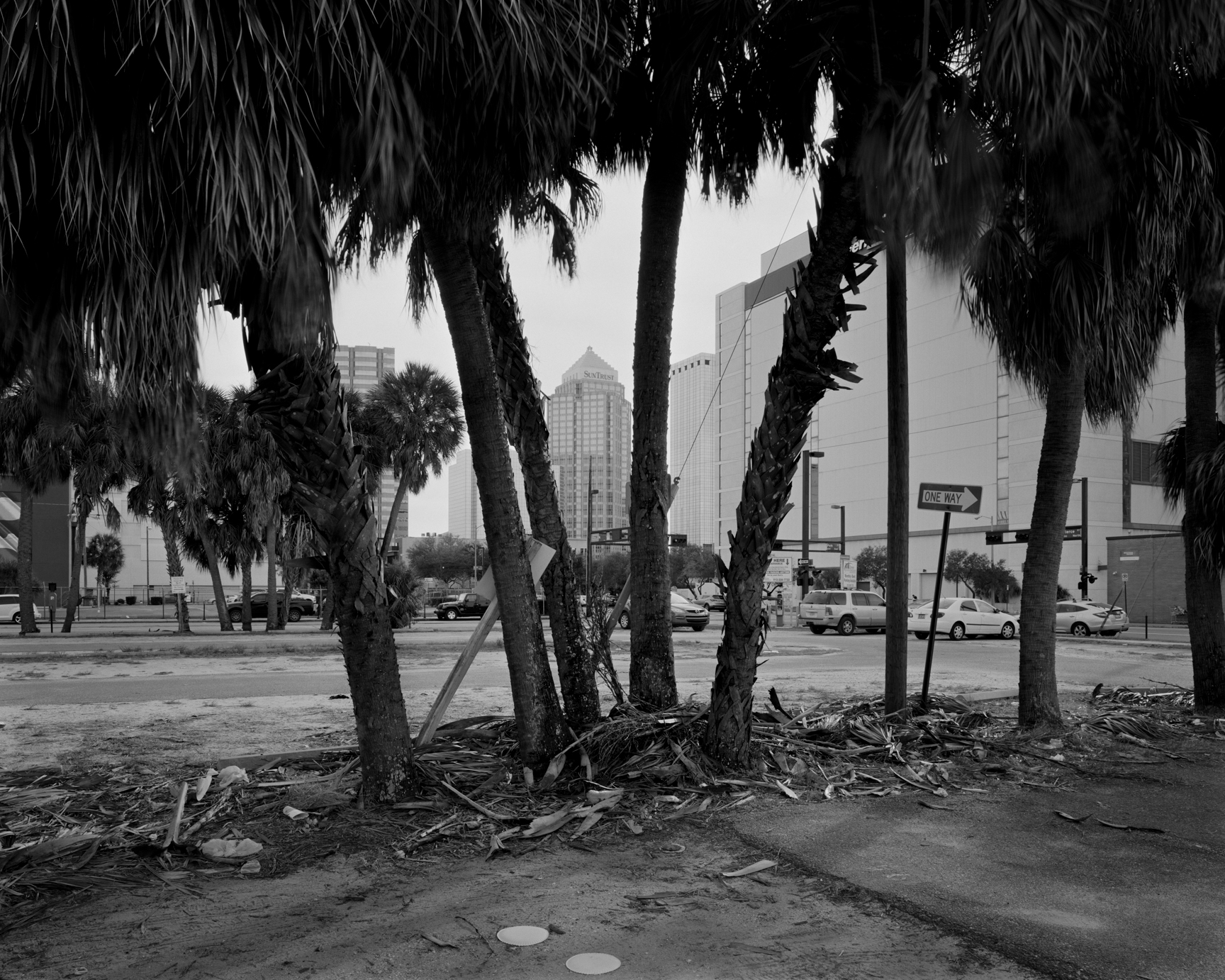 Bob Thall - Tampa, Florida 2015